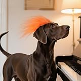 Zoom IMG-1 costumi per cani parrucca gatti