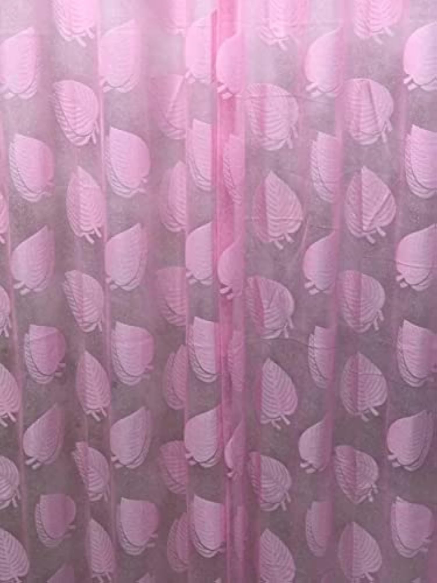 Transparent Sheer Leaf Net Curtains for Long Door