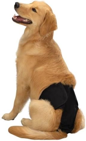 Clean Go Pet Cotton Large Male Pup Pant, Black