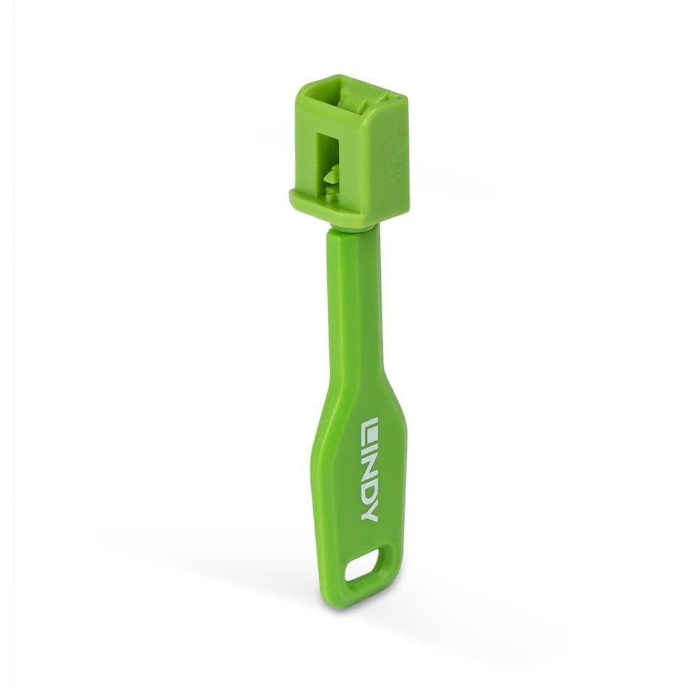 LINDY SFP - Serrature per Porte (10 Pezzi) con Chiave, Colore: Verde
