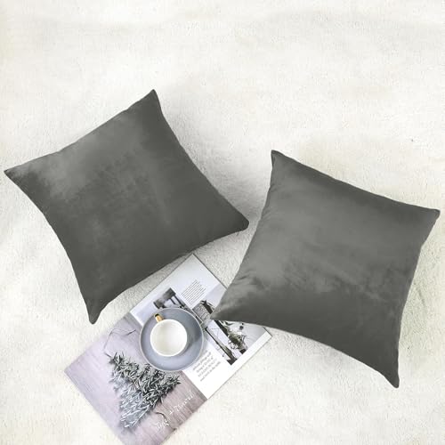 Image of 5 Piece Holland Velvet Cushion Covers, 22x22 inch, Grey | Soft Solid Decorative Throw Square Pillow Cases Modern Luxury Home Decor for Couch Sofa Bedroom Livingroom