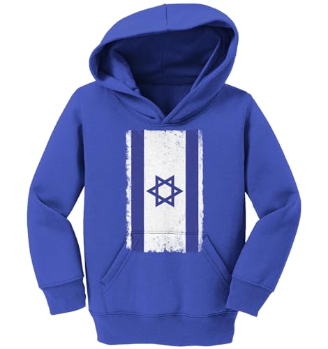 Tcombo Distressed Israel Flag - Vertical Toddler/Youth Fleece Hoodie