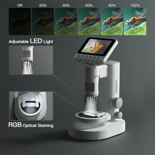 Bisofice Mikroskop Digital Microscope 1000X, USB Mikroskop, Abnehmbar 2-in-1 Digitales Mikroskop für Kinder, Outdoor Taschenmikroskop mit 6 einstellbaren LED, 3,5 Klappdisplay