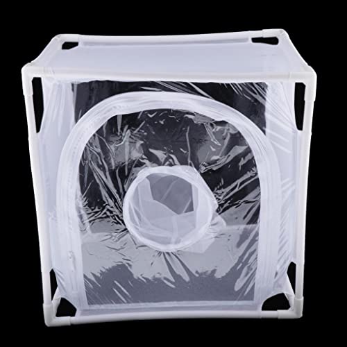 Cage d'élevage de papillons pour sauver les chenilles dehors - 6
