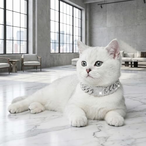 Image of Dog Chain Diamond Collar Walking Metal Chain Collar with Design Secure Buckle, Pet Collar Jewelry Accessories for Small Medium Large Dogs Cats (Silver, 8 Inch)