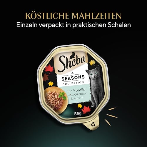 Sheba Schale Seasons Collection 2 x 11 x 85g