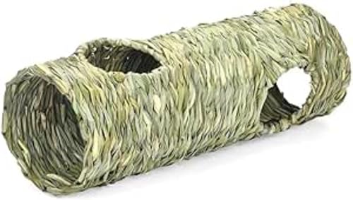 ETMp̑^nEX yʂŉKȏ VԉBƑxbh ނ ETMp 炤nEX (A)