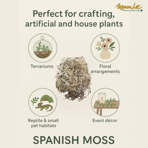 Image of Mosser Lee Spanish Moss - Natural Decorative Moss for Houseplants, Soil Cover, Crafts, Terrariums & Floral Arrangements - 400 Cubic Inches (Approx 9oz)