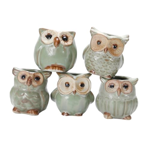 TIDTALEO 5pcs Ceramic Owl Planter Pots Mini Succulent Flower Pots for Home Office Garden Decorative Stoneware Plant Containers with Creative Animal Design