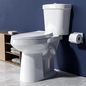 Extra Tall Toilet 21 Inch High Toilet for Seniors Elongated Toilet Dual Flush 1116 GPF Comfort Bowl Height Toilet for Bathroom White Porcelain Toilet Two Piece 12 Rough In