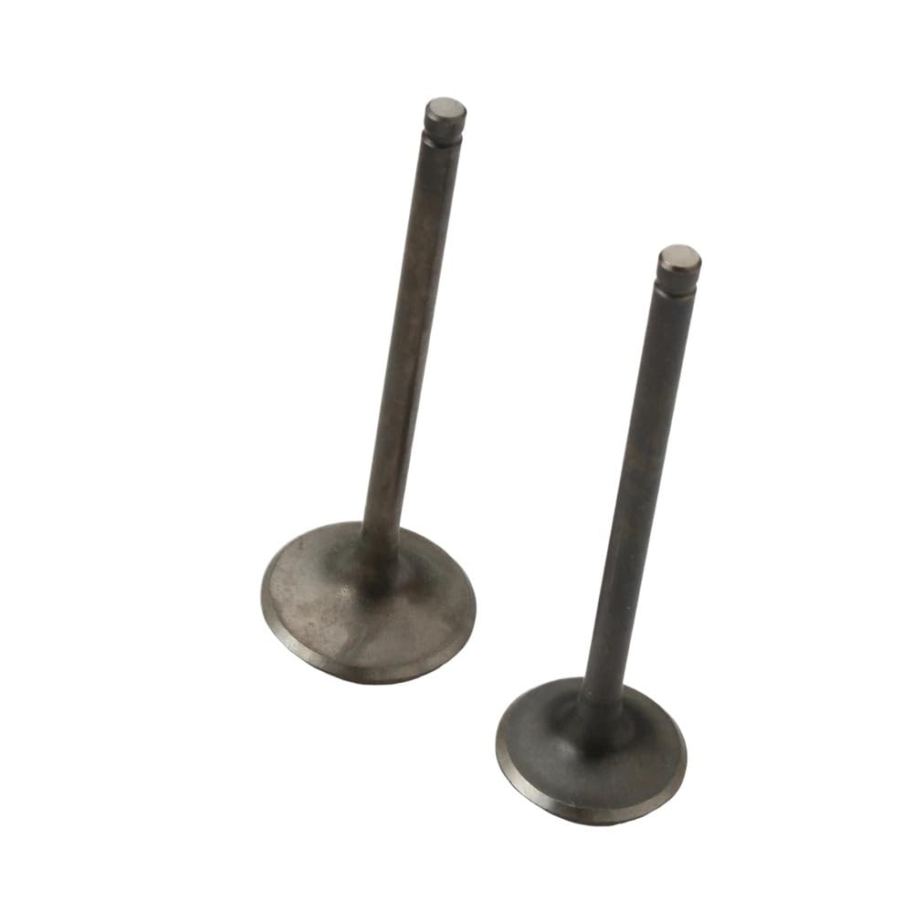 Valvole di aspirazione e scarico compatibili con CRF150F 150CC NX200 XR200 CB223S CRF230 230CC CRF230F CRF230L Sostituisce 14711-KBB-900 14721-KBB-900