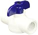 NDS EBV-0500-T 1/2-Inch Threaded PVC Schedule 40 Economy Ball Valve, White