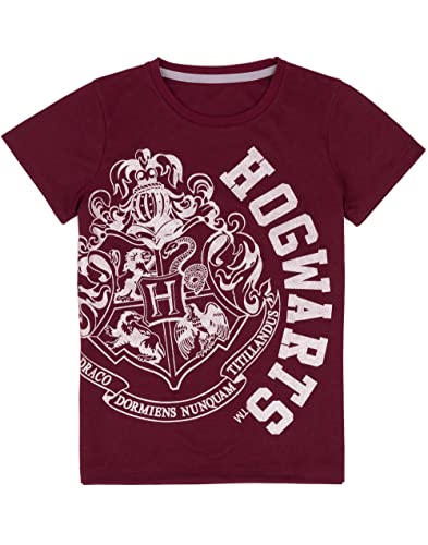 Harry Potter Pajamas Girls Kids Glitter Crest T-Shirt Trousers Pjs Set4