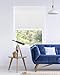 CHICOLOGY Roller Window Shades , Window Blinds , Window Shades for Home , Roller Shades , Window Treatments , Window Blinds Cordless , Door Blinds , Urban White (Light Filtering), 47