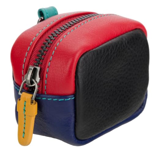 Étui en cuir pour écouteurs Visconti Rainbow Beck RB115 chic et compact