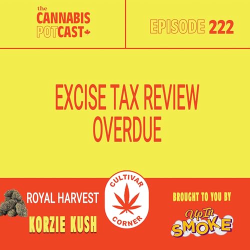 Excise tax review overdue Podcast Por  arte de portada