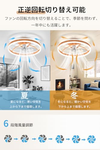 Coizabera シーリングファンライト の商品画像 5