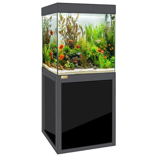 Aqua Dream 40-Gallon Aquarium with Premium Tempered & Ultra-Clear Glass (Complete Setup) All in Black
