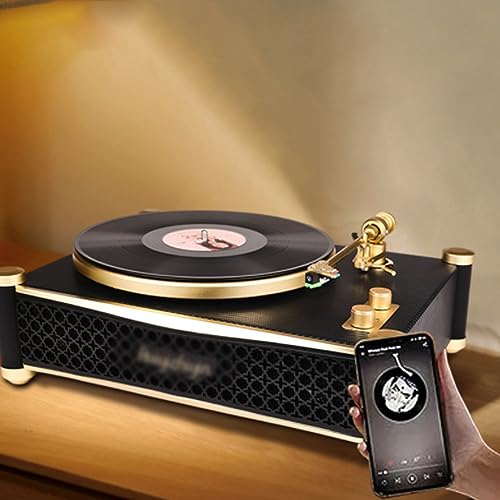 LoopTone - Reproductor de discos de vinilo con altavoces externos duales de 15 W, 9 en 1, 3