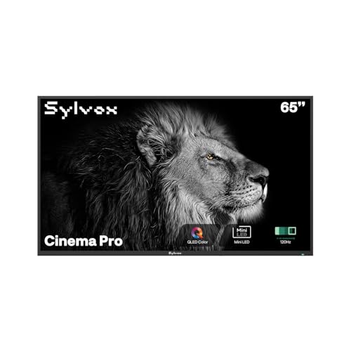 SYLVOX Outdoor TV