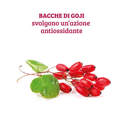 Colours of Life Bacche di goji compresse