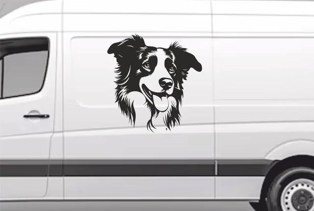 AMA SHOP Aufkleber für Hunde, Motiv: Border Collie, Modell 3, Farbe Schwarz, geeignet für Auto- und Motorradhelm, Aufkleber, 10 cm