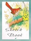 Sketch Book: Sketch Book for Seniors or Adults with Dementia or Alzheimer's , Activity Book for Nursing Homes or Special Needs Caregiver, * Alzheimer's or Dementia Crafts and Activities