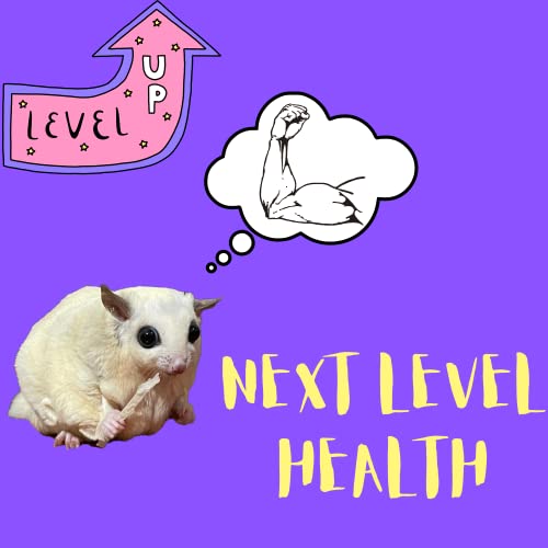 Petivore Premium Dried Pumpkin - Sugar Glider, Hamster, Squirrel, Chinchillas, Marmoset Happy Treats, Snacks And Food (25G) #TOP2