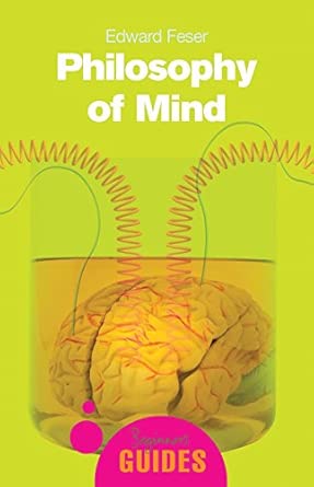 Philosophy of Mind: A Beginner's Guide (Beginner's Guides) Revised edition Edition-Wow! eBook