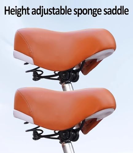 3-Wheel Cruiser Bike with Spoked Wheels, Dual Brakes, Rear Passenger Seat, Folding Pedal Assist, Front Suspension, Dual Chain Drive, Ideal for Men & Women