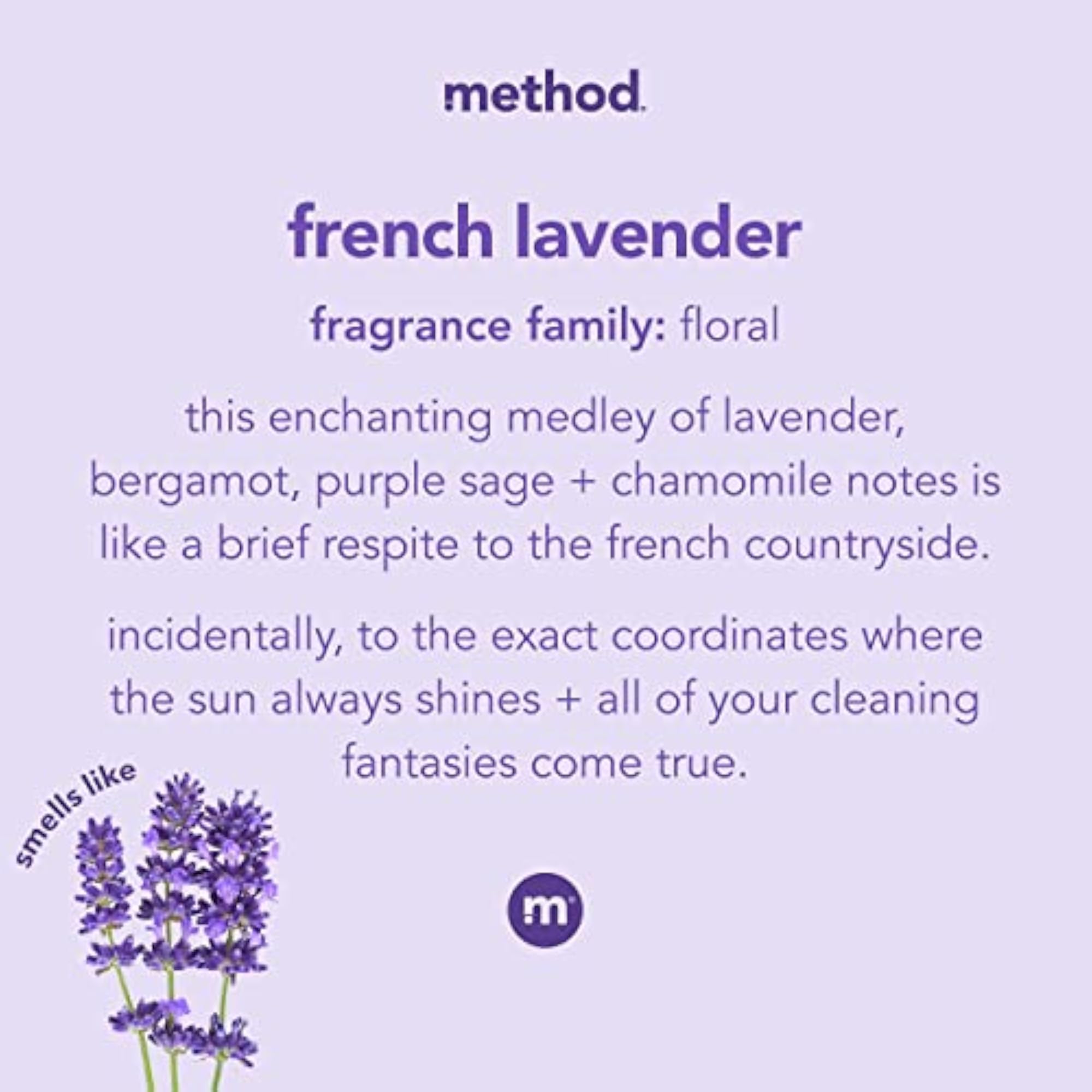 Foaming Hand Soap, French Lavender, 10 Ounce