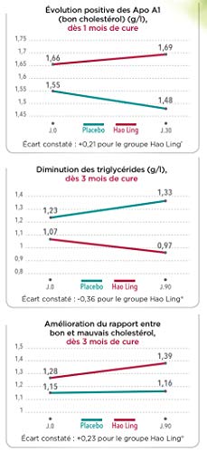 Thés de la Pagode - Healthy Teas - Hao Ling - 75g