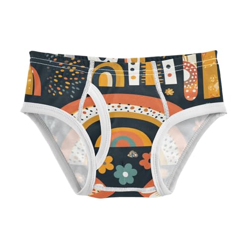 KLL Rainbow Boho Style Baby Boys Cotton Briefs Underwear Cute Children Undies