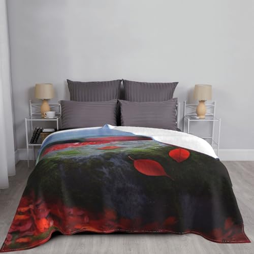 Couverture de canapé feuille rouge pour des soirées cocooning