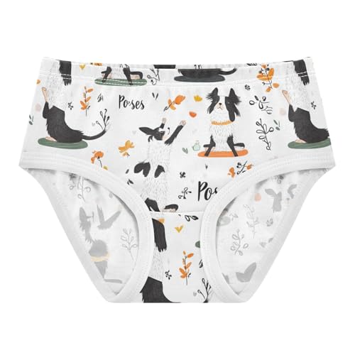 Wusikd Border Collies Doing Yoga Girls' Underwear Cotton Girls Briefs Soft Toddler Underwear 2T