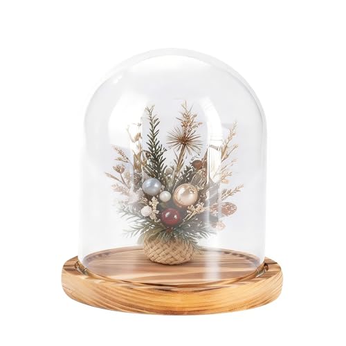 Hanlintk Glas Display-Glocke mit Holzfuß - Klare Glasglocke für Pflanzen Kuriositäten Erinnerungsstücke & Erbstücke Viktorianischer Ausstellungsdom
