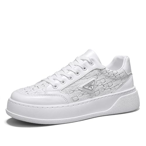 [Omina] JWAXj[J[ Y V[NbgV[Y VvfUC y Y v X|[c EH[LOV[Y    ʊw ʋ  ₷ ~ wȂ ^C 풅p (zCg, l, 26