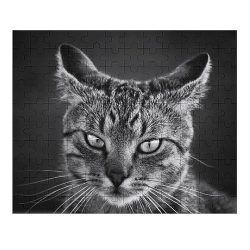 L   pY NG[VAjObY ϋv l jp D ߋ t@[Xg`CX ؐ  Ǐ葡蕨 av[g 120 PCS