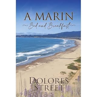 A Marin Bed and Breakfast Audiolibro Por Dolores Street arte de portada