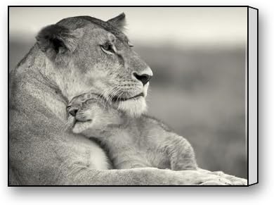 Du Art Cadeaux Noir Et Blanc Lion Maman Et Bebe Personnalise Impression Sur Toile Photos Personnelles Impression Sur Toile Prete A Suspendre Sur Votre Mur Comme Un Art Moderne 40 6 X 40 6