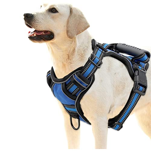 Kamizelka dla psa Oddychająca kamizelka odblaskowa dla psa Mały duży pies Outdoor Running Dog Akcesoria dla zwierząt