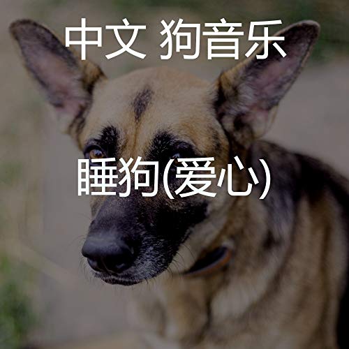 睡狗(爱心) de 中文 狗音乐 en Amazon Music Unlimited