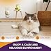 Cat Calming Diffuser 5 Pack Includes 2 Diffusers Machines & 3 Refills Pheromone Plug-In for Cats Reduce Anxiety Aggression Stress Scratching & Spraying Long Lasting Calming Diffuser Kit for All Cats