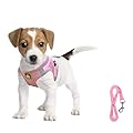 FEimaX Dog Harness and Leash Set for Small Medium Dog Cat No Pull Adjustable Soft Mesh Chihuahua Chest Harness Puppy Reflective Step-in Safety Vest for Outdoor Walking