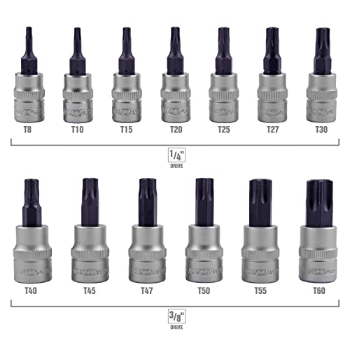 Oemtools 23904 13 Piece Magnetic Star Bit Socket Set, Star Socket Set, 1/4" And 3/8" Drive Bits, Magnetic Bit Sizes Range From T8 - T60 #TOP2