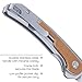 CRKT Padawan Everyday Carry Folding Knife: Drop Point with 14C28N Steel Blade, Stainless Steel Handle w/Micarta Overlays, Frame Lock, 6070