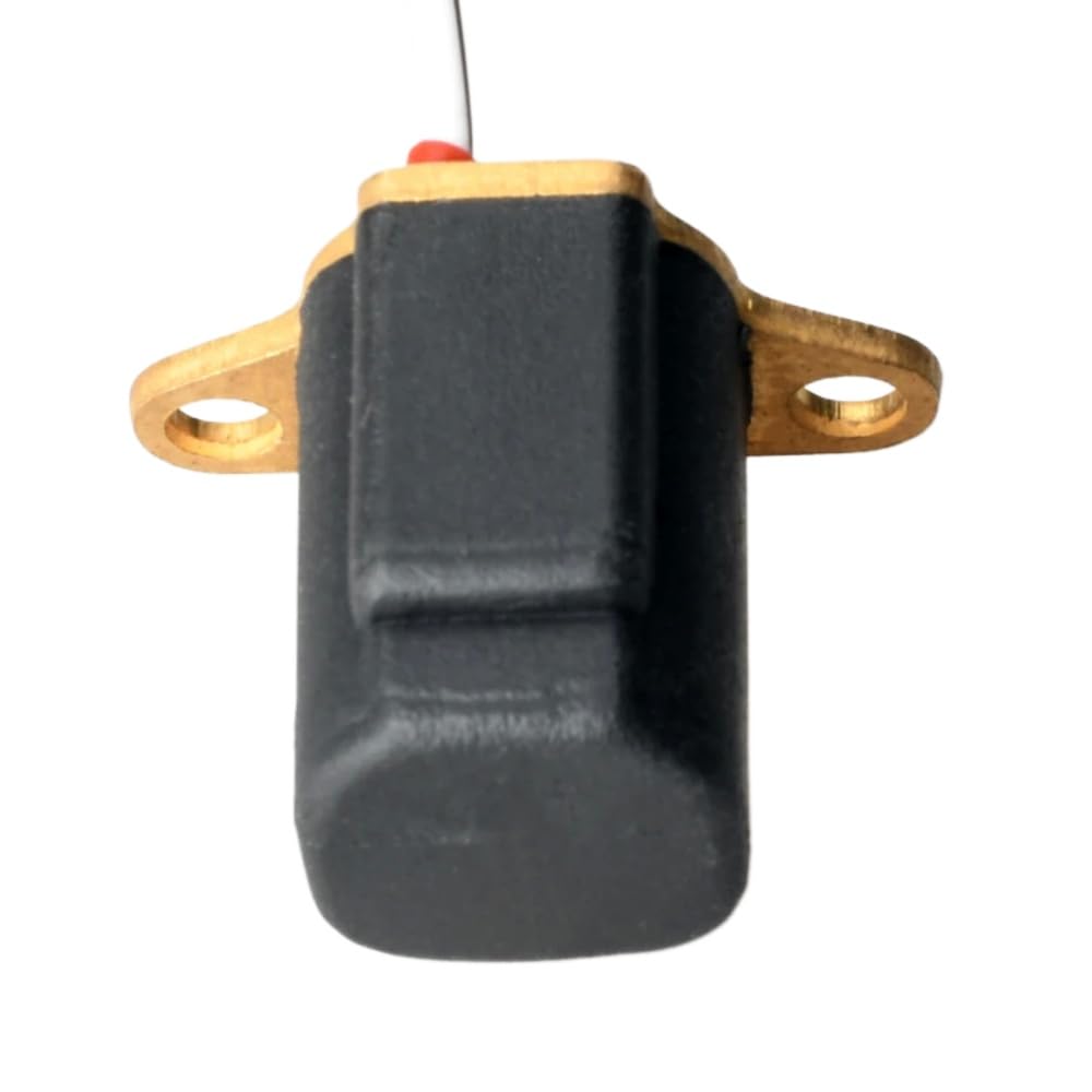 Gruppo Bobina impulso 6H3-85580-00 Compatibile con la Parte di Ricambio del Motore per Barche E 60-70hp 2T 6H3-85580-20 Accessori