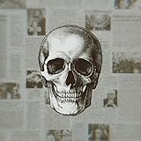  Old Skull