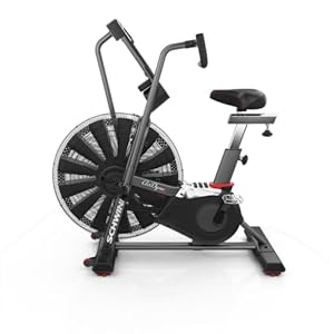 Schwinn Airdyne AD8, Profi-Fitnessbike mit grenzenlosem Luftwiderstand, LCD-Konsole mit Watt-Anzeige, Trainingsprogramme für HIIT, max. Benutzergewicht 160 kg, Trinkflaschenhalterung, Crossfit Trainer