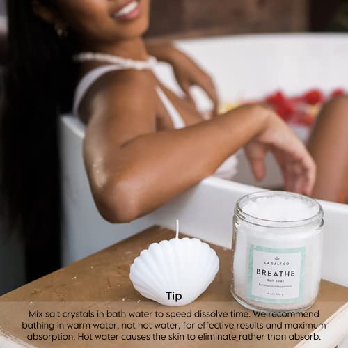 La Salt Co Aromatherapy Bath Salt Soak, Breathe | Mineral-Rich Epsom Salt & Dead Sea Salt, Peppermint, & Eucalyptus Essential Oils | Natural Therapeutic Relief | 14 Oz #TOP5